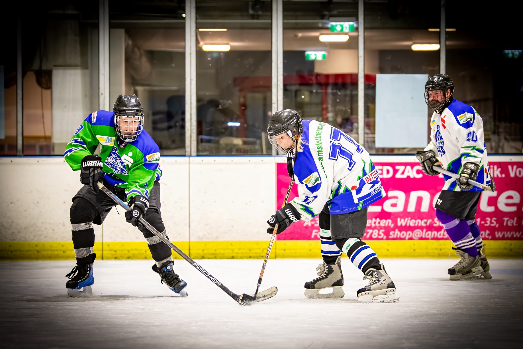 1704709129-23b9635a-jpg